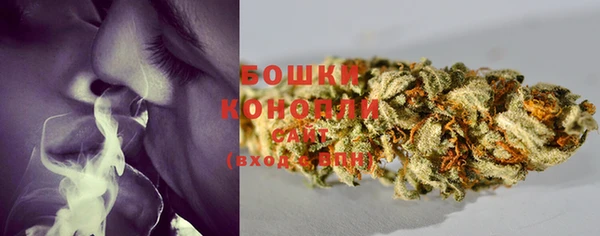 ECSTASY Липки