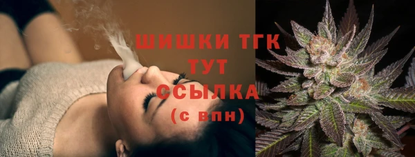 спиды Лиски