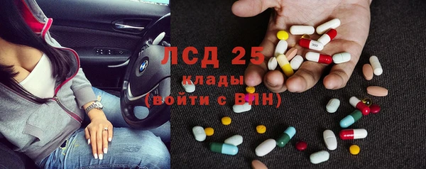 спиды Лиски