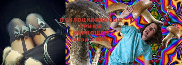 ECSTASY Липки