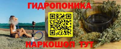 индика Гай