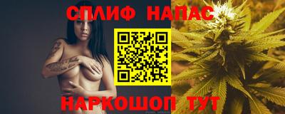 соль ск Будённовск