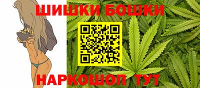 сатива Гатчина