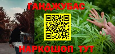 сатива Гатчина