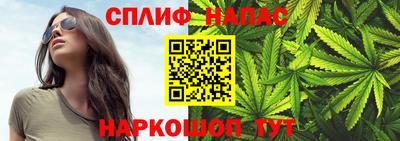 индика Гай
