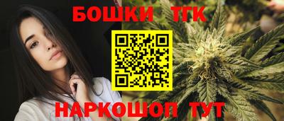 сатива Гатчина