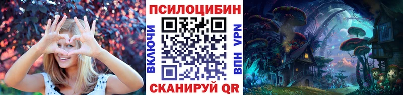 купить наркотик  Егорьевск  Галлюциногенные грибы мицелий 