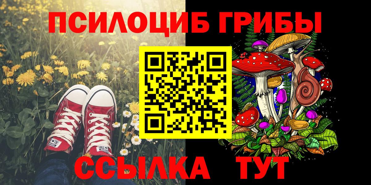 Галлюциногенные грибы Psilocybe Егорьевск