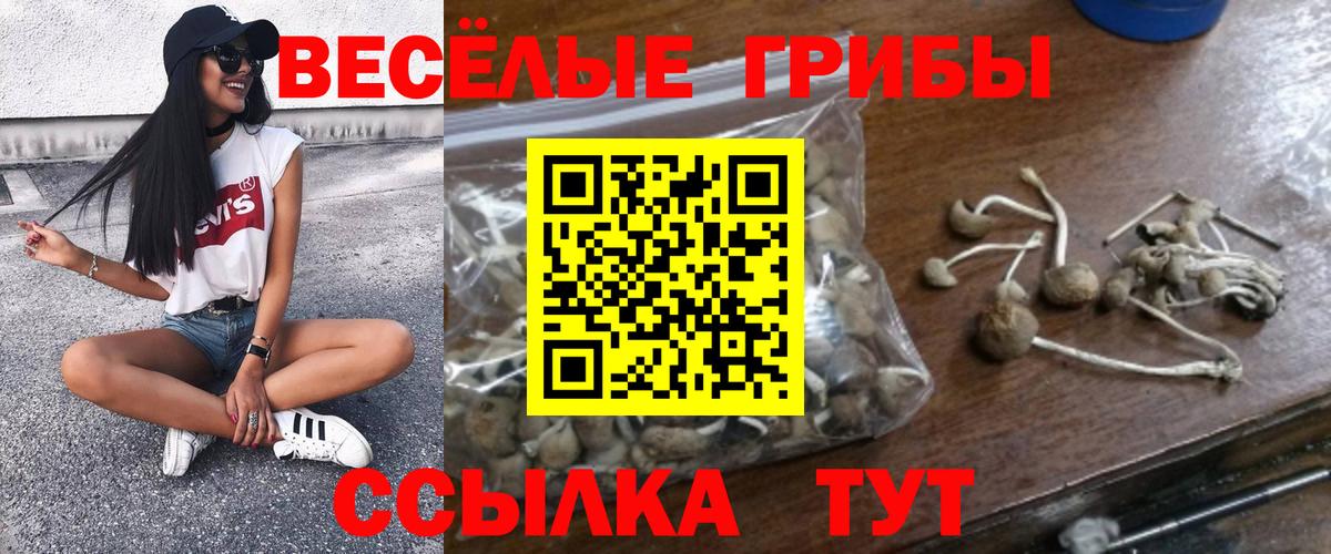 Псилоцибиновые грибы Magic Shrooms Егорьевск